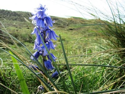 Lytham St Annes Civic Society was formed in 1960 and has a membership of well over 400 people. Why don't you get involved?