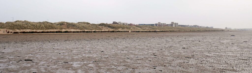 Extent of Christmas tree defence along the waterfront. Photo: Sue Massey