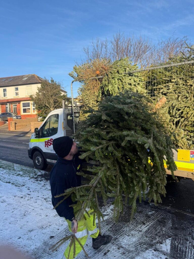 A volunteer from RSS supports this year&rsquo;s Christmas tree collection service