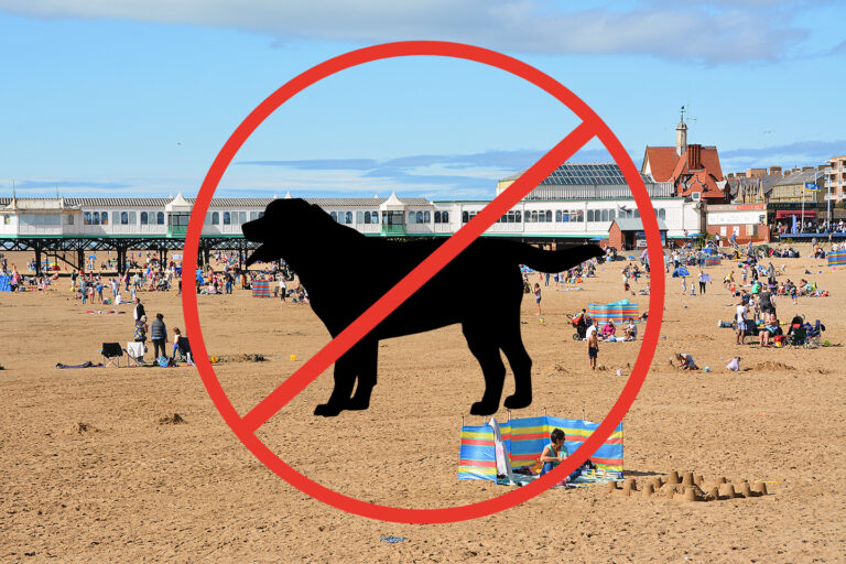 Dogs on St Annes Beach